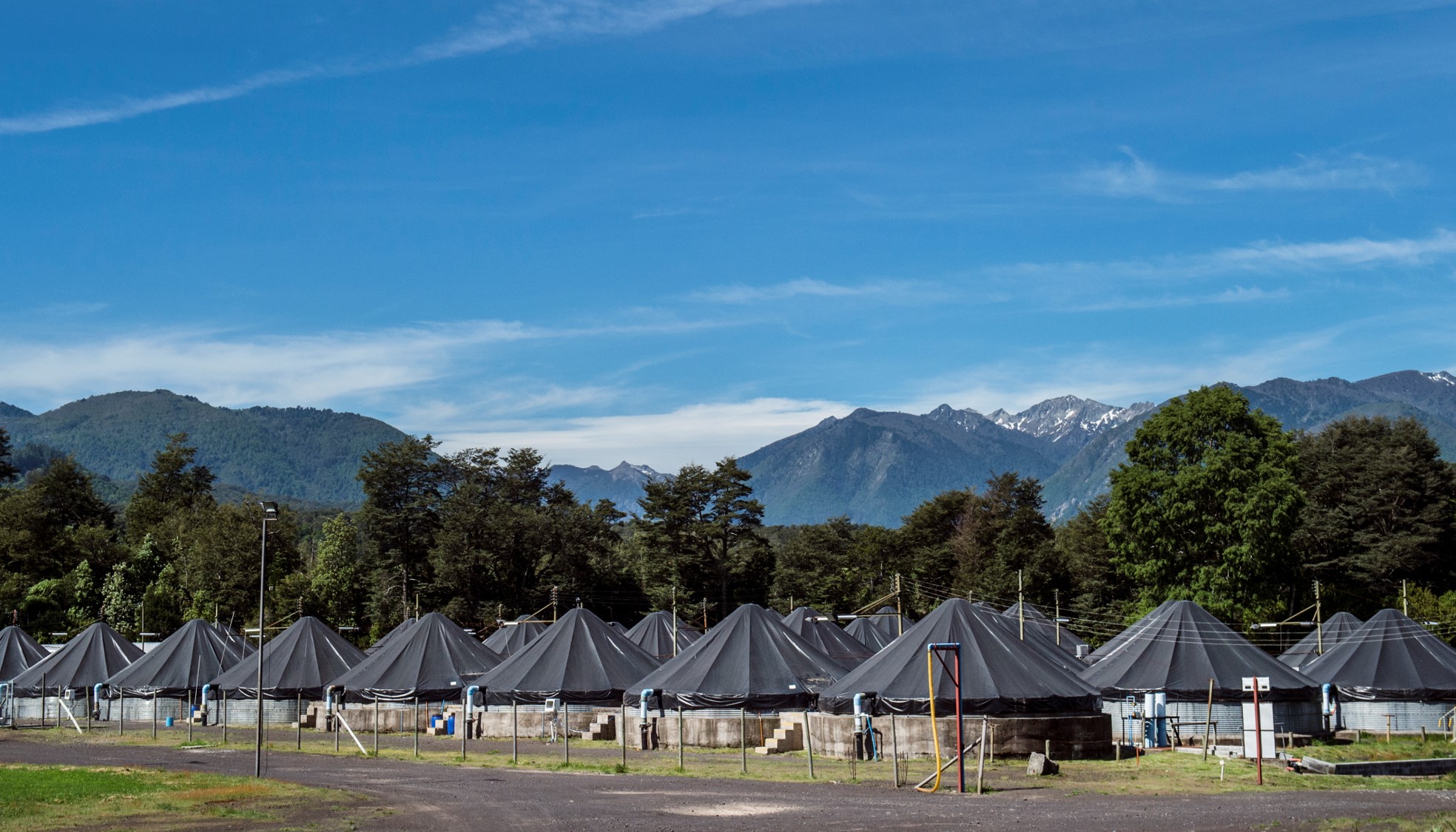 養(yǎng)殖場10 養(yǎng)殖場10