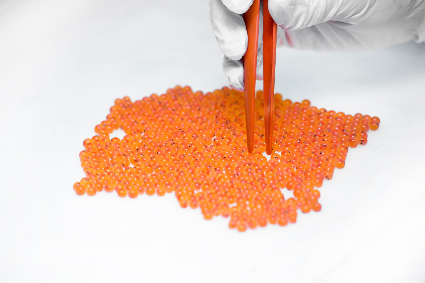 養(yǎng)殖場13 養(yǎng)殖場13