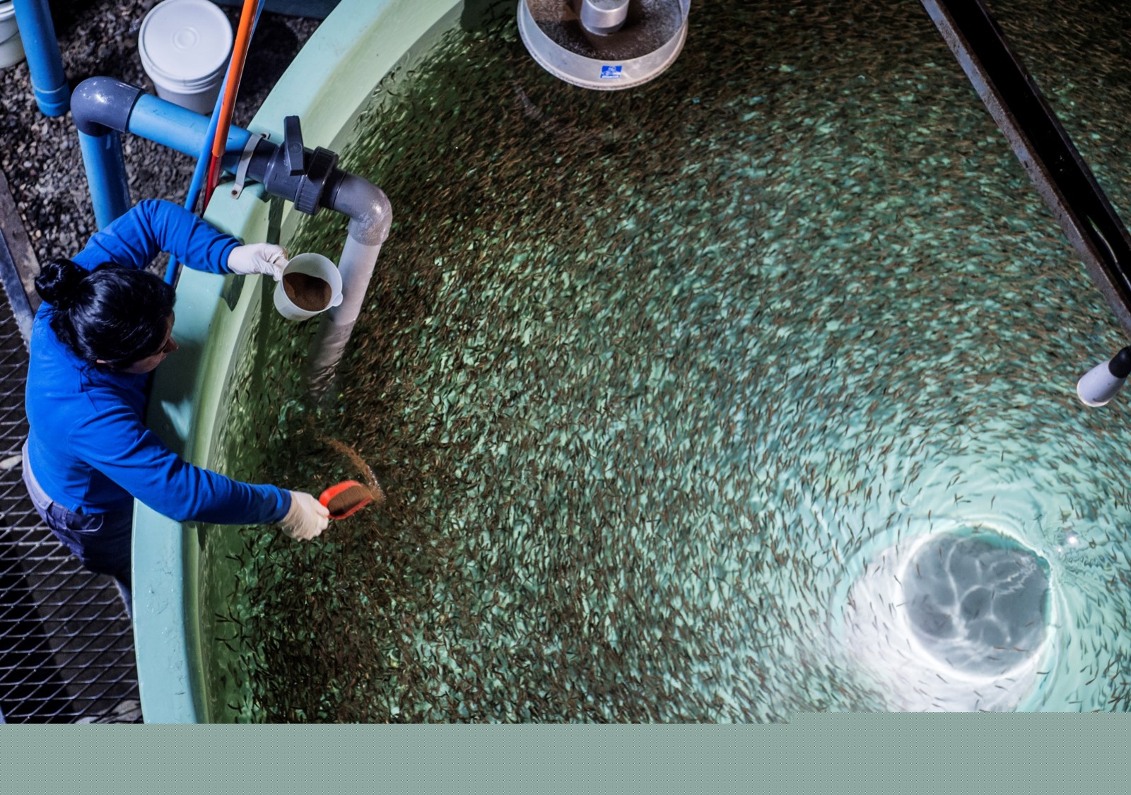 養(yǎng)殖場12 養(yǎng)殖場12