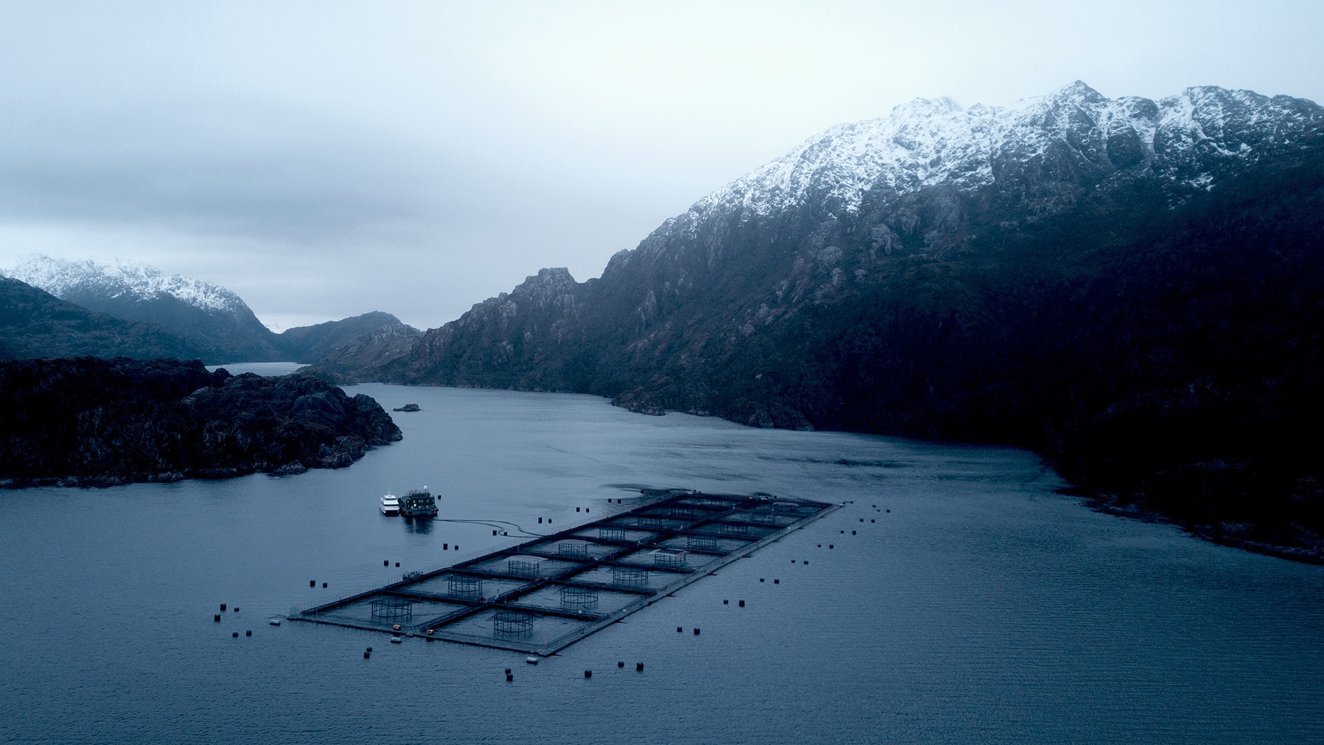 養(yǎng)殖2 養(yǎng)殖2